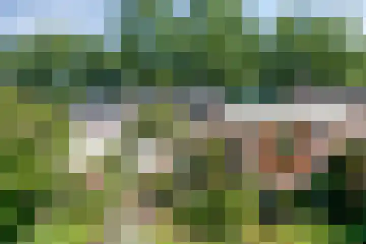 van der Capellenweg 24 Heino thumbnail 30
