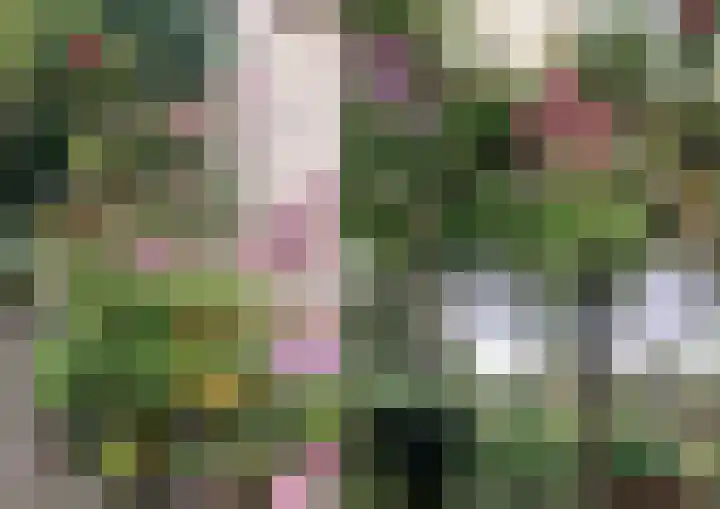 van der Capellenweg 24 Heino thumbnail 31