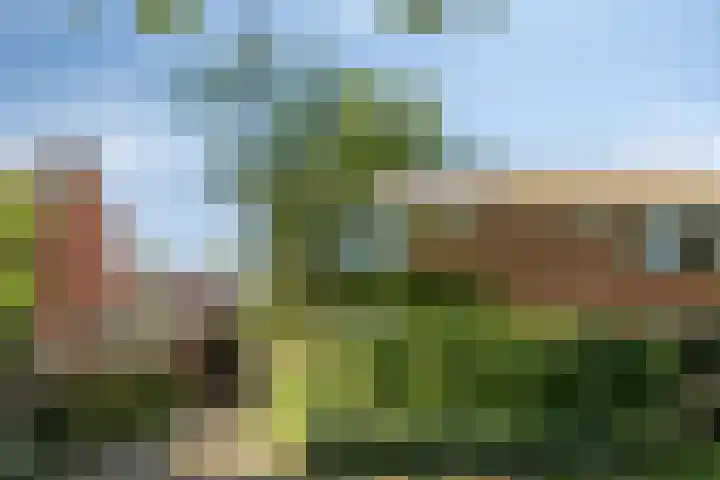 van der Capellenweg 24 Heino thumbnail 33