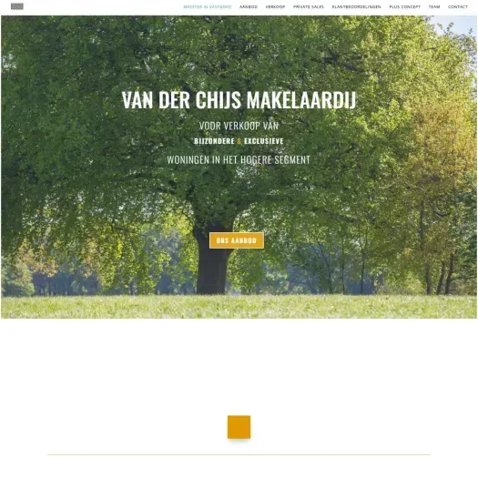 Screenshot of the website of www.vanderchijsmakelaardij.nl