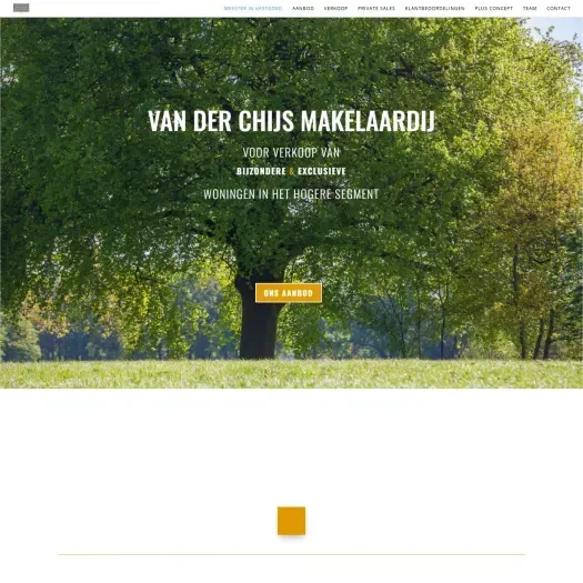 Screenshot van de website van www.vanderchijsmakelaardij.nl