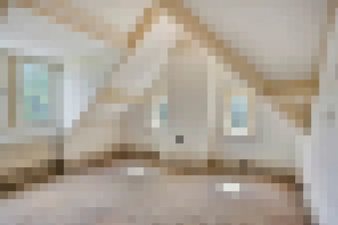 van der Does de Willeboissingel 25 's-Hertogenbosch thumbnail 17