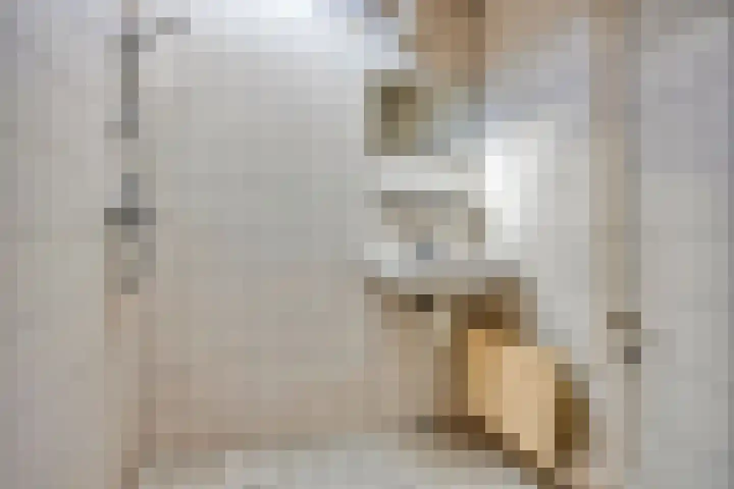 van der Does de Willeboissingel 25 's-Hertogenbosch thumbnail 19