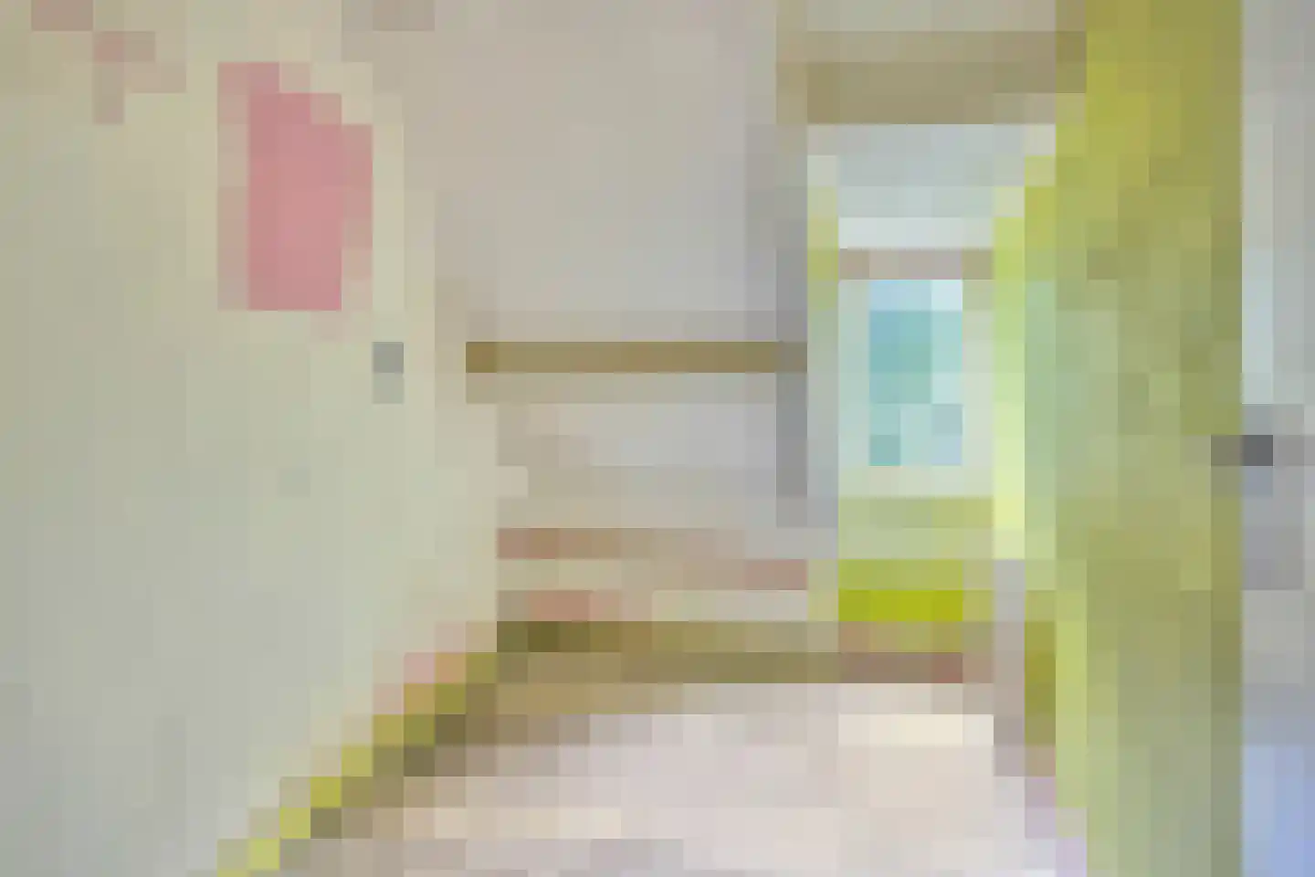 van der Does de Willeboissingel 25 's-Hertogenbosch thumbnail 22