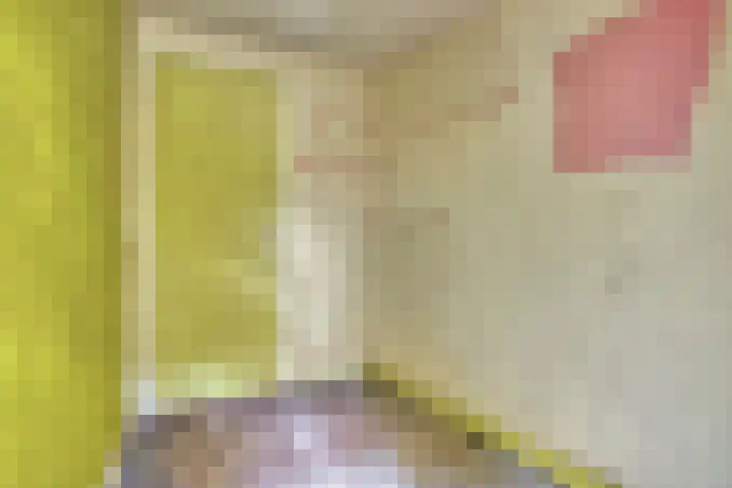 van der Does de Willeboissingel 25 's-Hertogenbosch thumbnail 23