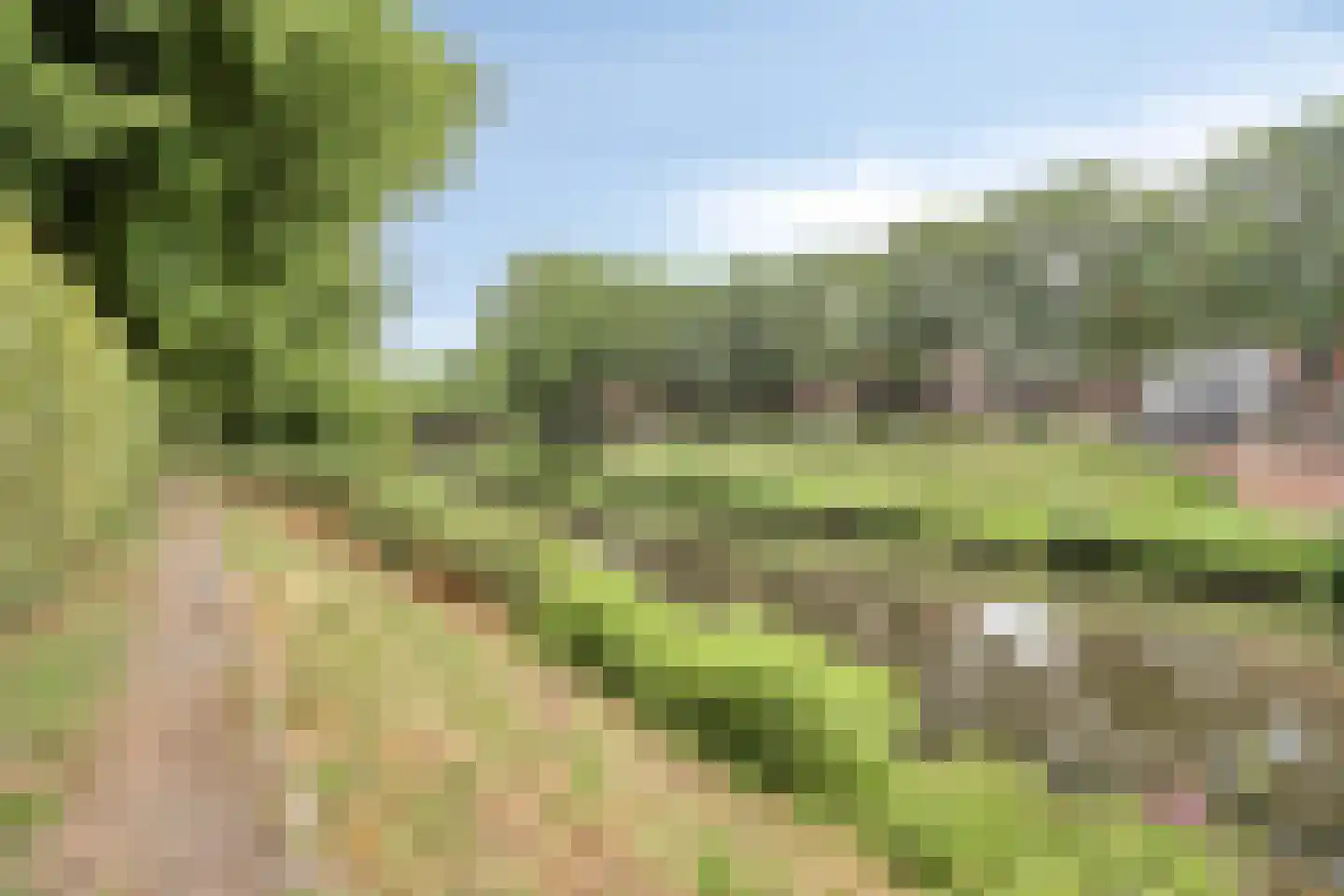 van der Does de Willeboissingel 25 's-Hertogenbosch thumbnail 25