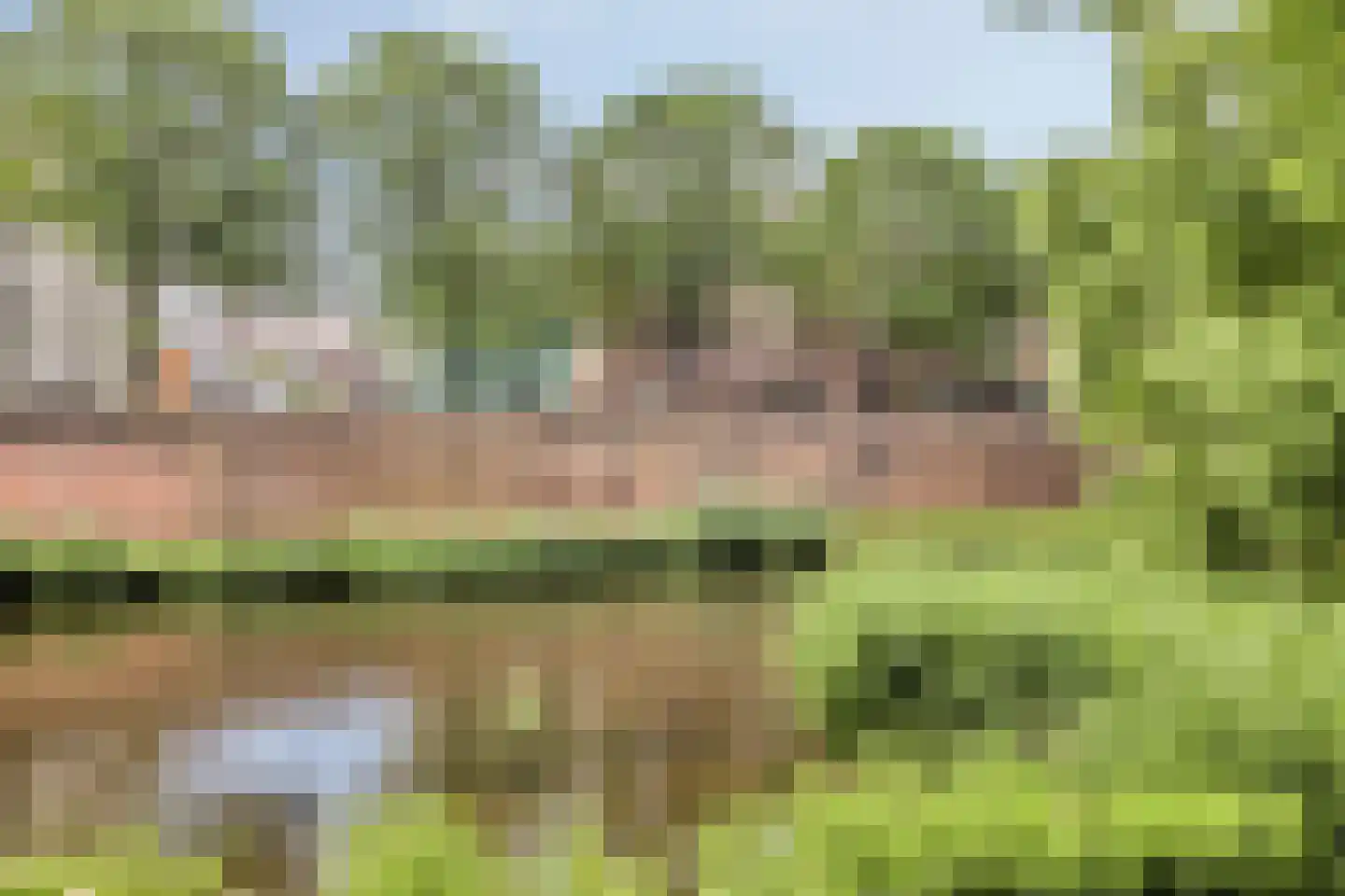 van der Does de Willeboissingel 25 's-Hertogenbosch thumbnail 26