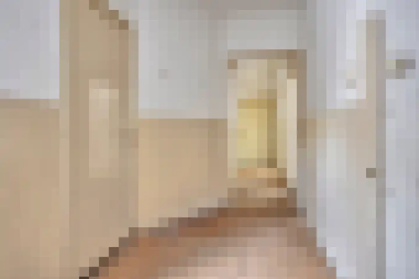 van der Does de Willeboissingel 25 's-Hertogenbosch thumbnail 7