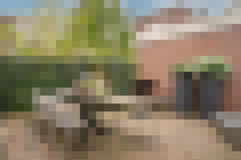van der Does de Willeboissingel 39 's-Hertogenbosch thumbnail 33