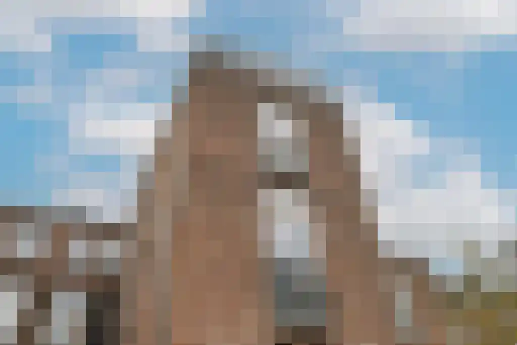 van der Does de Willeboissingel 39 's-Hertogenbosch thumbnail 34