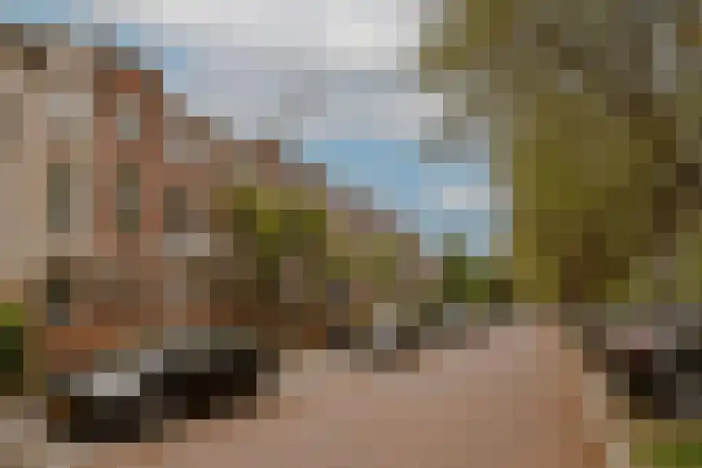 van der Does de Willeboissingel 39 's-Hertogenbosch thumbnail 38