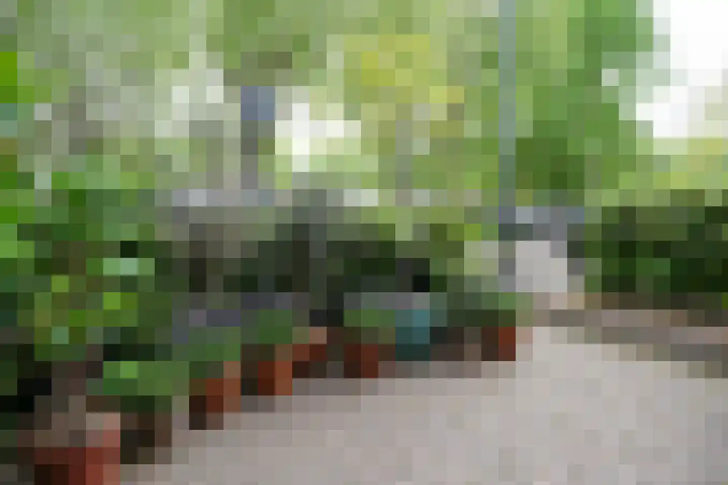 van der Does de Willeboissingel 39 's-Hertogenbosch thumbnail 41