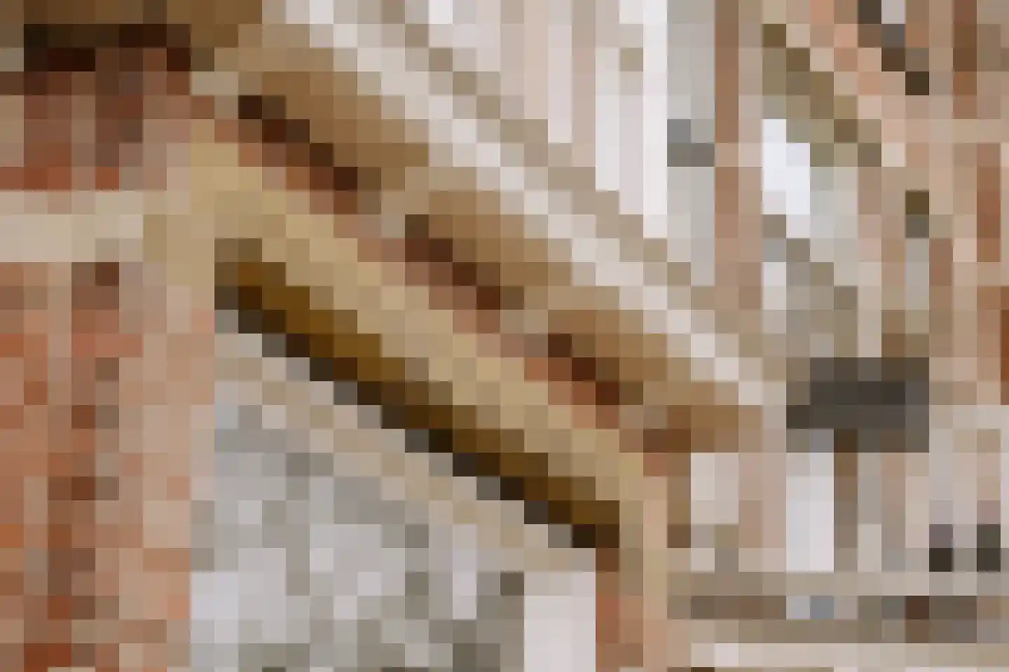 van der Does de Willeboissingel 39 's-Hertogenbosch thumbnail 43