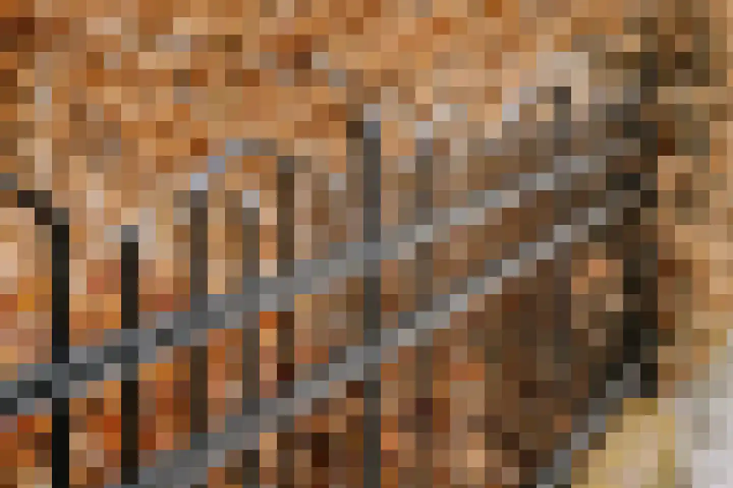 van der Does de Willeboissingel 39 's-Hertogenbosch thumbnail 44