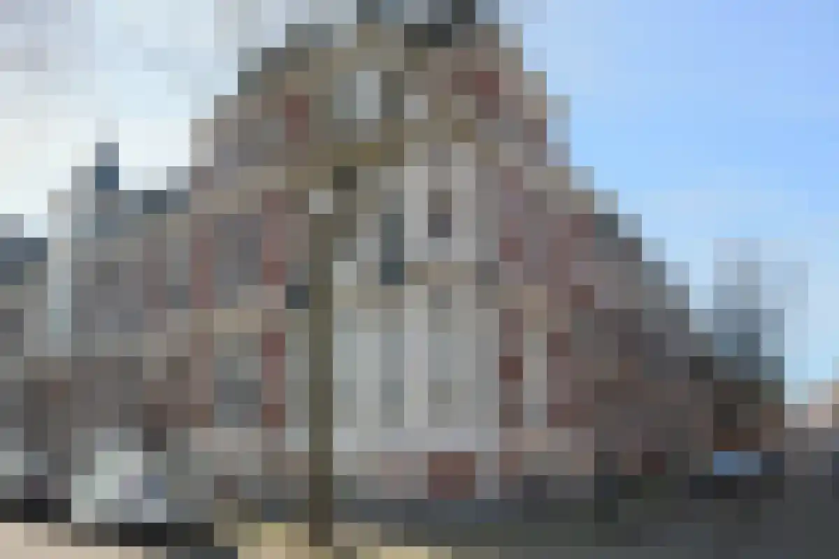 van der Does de Willeboissingel in 's-Hertogenbosch