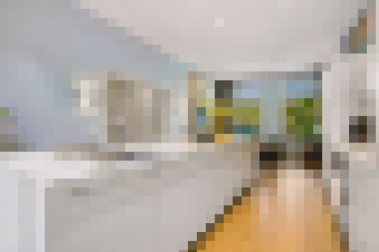 van der Does de Willeboissingel 54 's-Hertogenbosch thumbnail 10