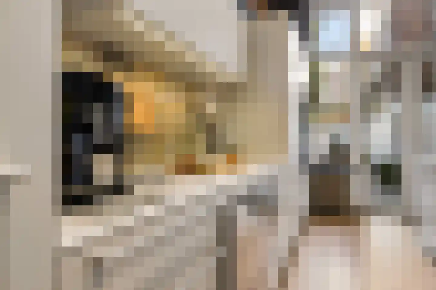 van der Does de Willeboissingel 54 's-Hertogenbosch thumbnail 12
