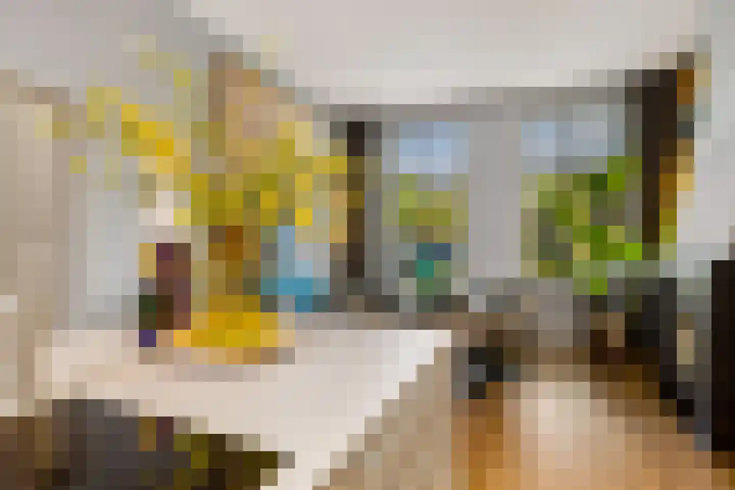 van der Does de Willeboissingel 54 's-Hertogenbosch thumbnail 13