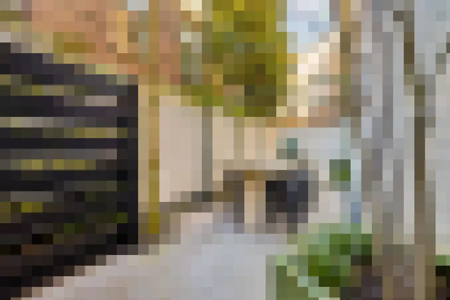 van der Does de Willeboissingel 54 's-Hertogenbosch thumbnail 16