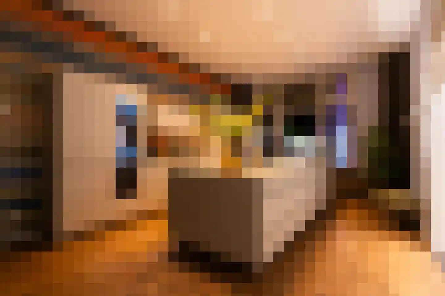 van der Does de Willeboissingel 54 's-Hertogenbosch thumbnail 18