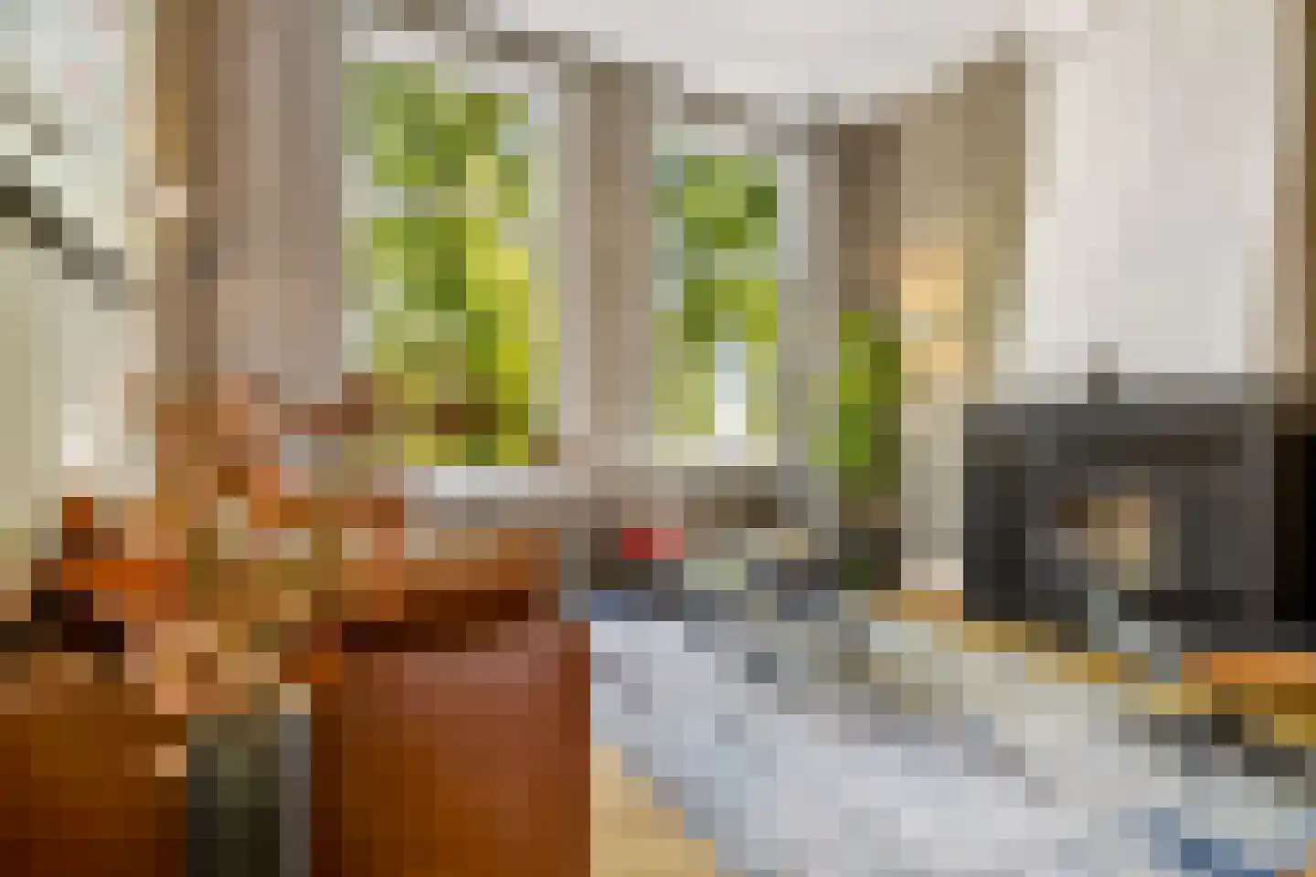 van der Does de Willeboissingel 54 's-Hertogenbosch thumbnail 20