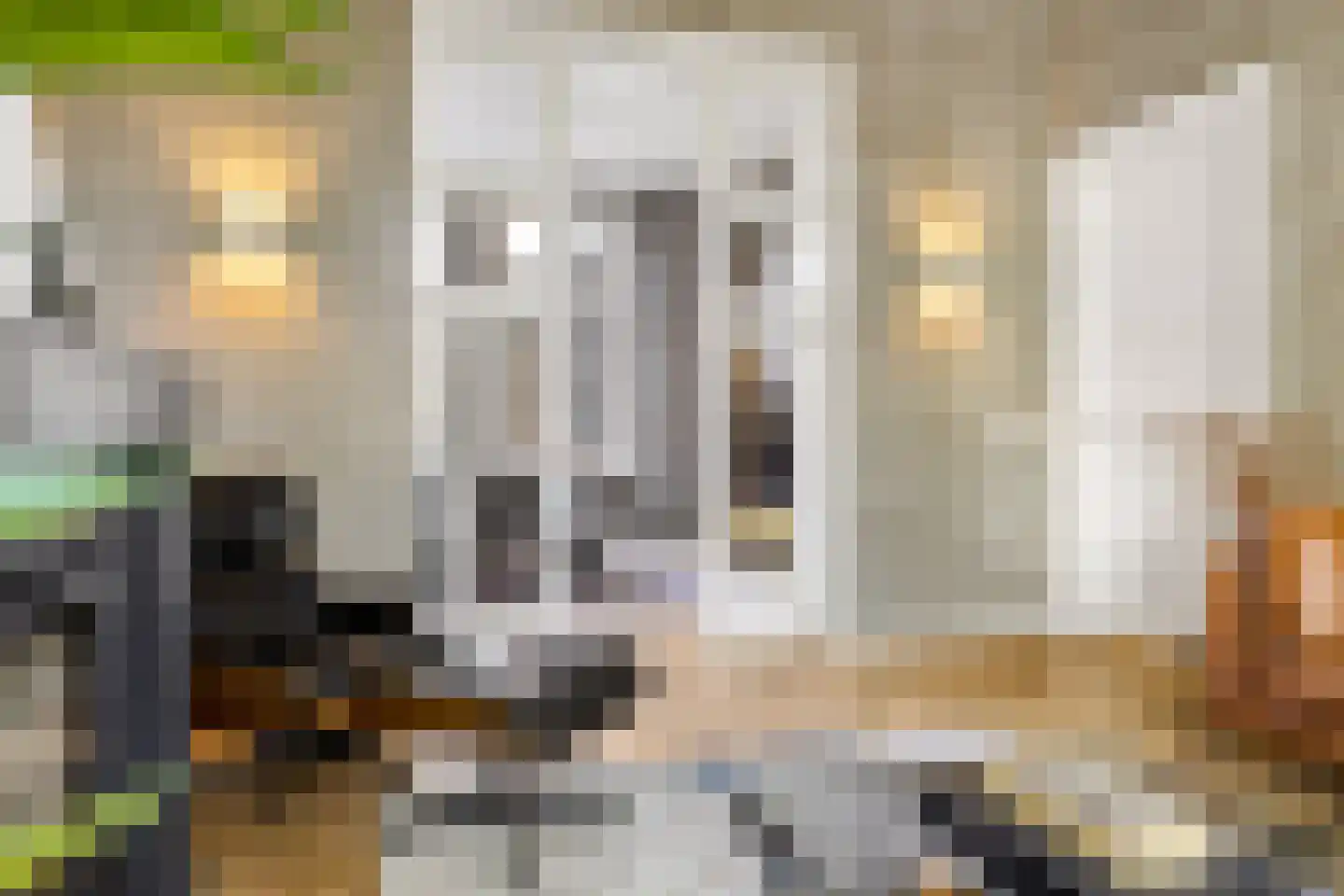 van der Does de Willeboissingel 54 's-Hertogenbosch thumbnail 21