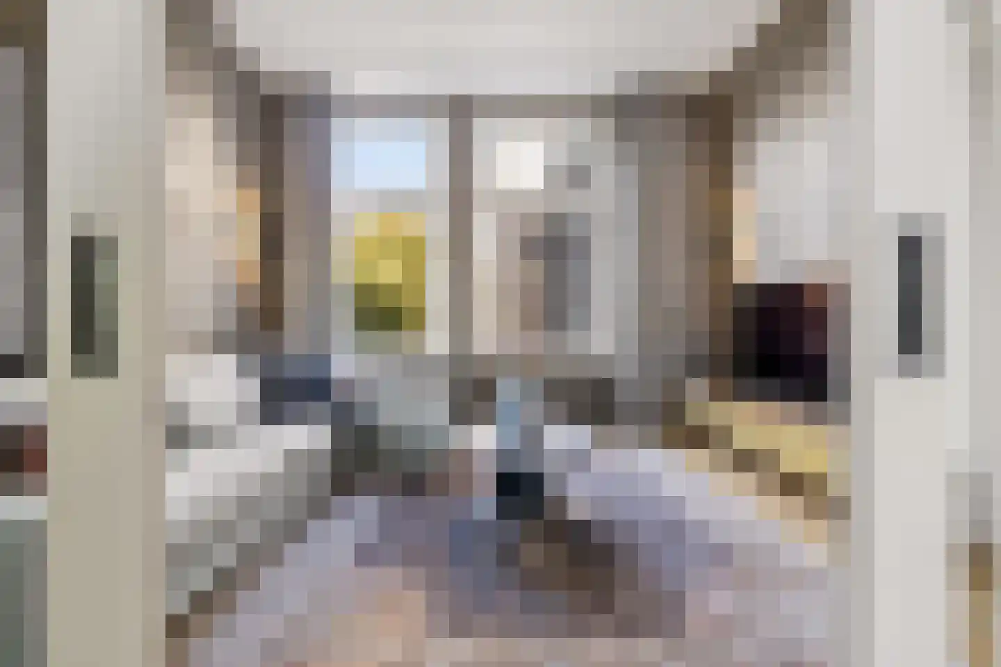 van der Does de Willeboissingel 54 's-Hertogenbosch thumbnail 22