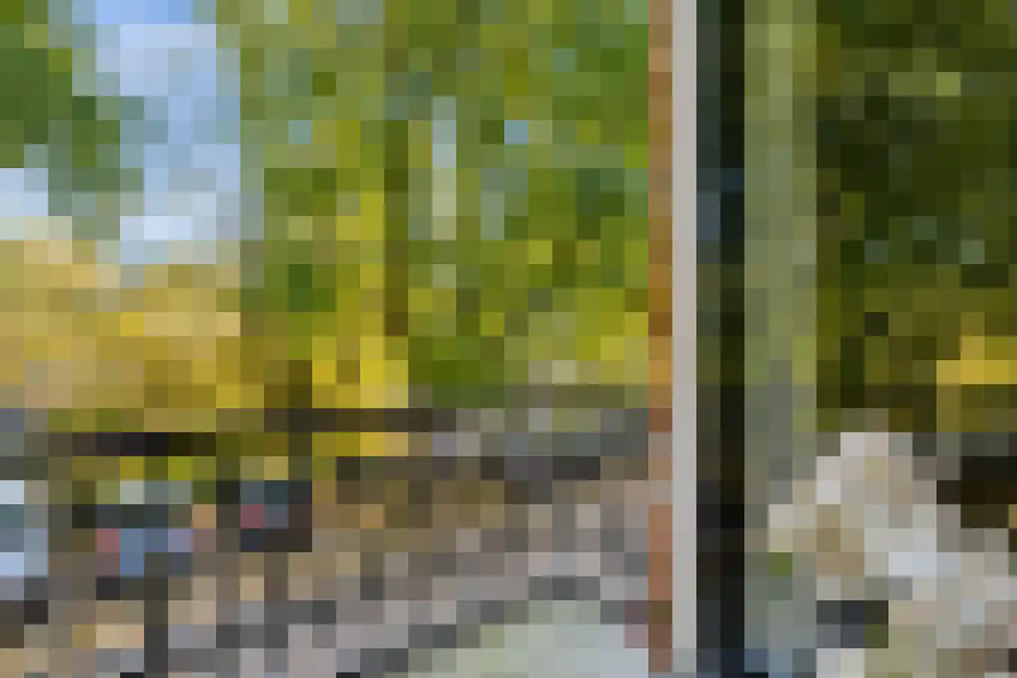 van der Does de Willeboissingel 54 's-Hertogenbosch thumbnail 28