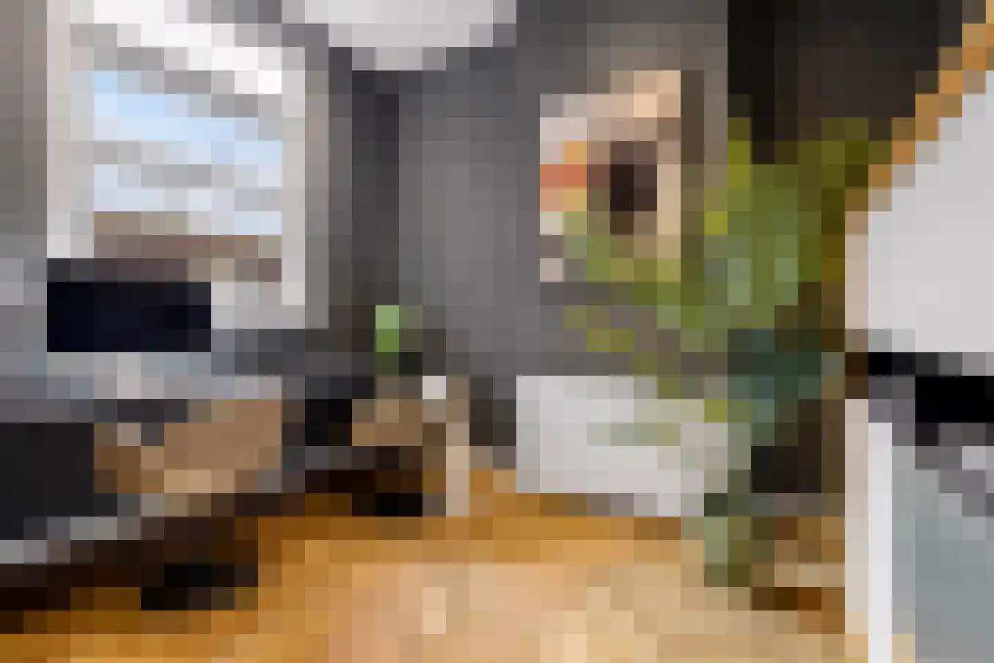 van der Does de Willeboissingel 54 's-Hertogenbosch thumbnail 29