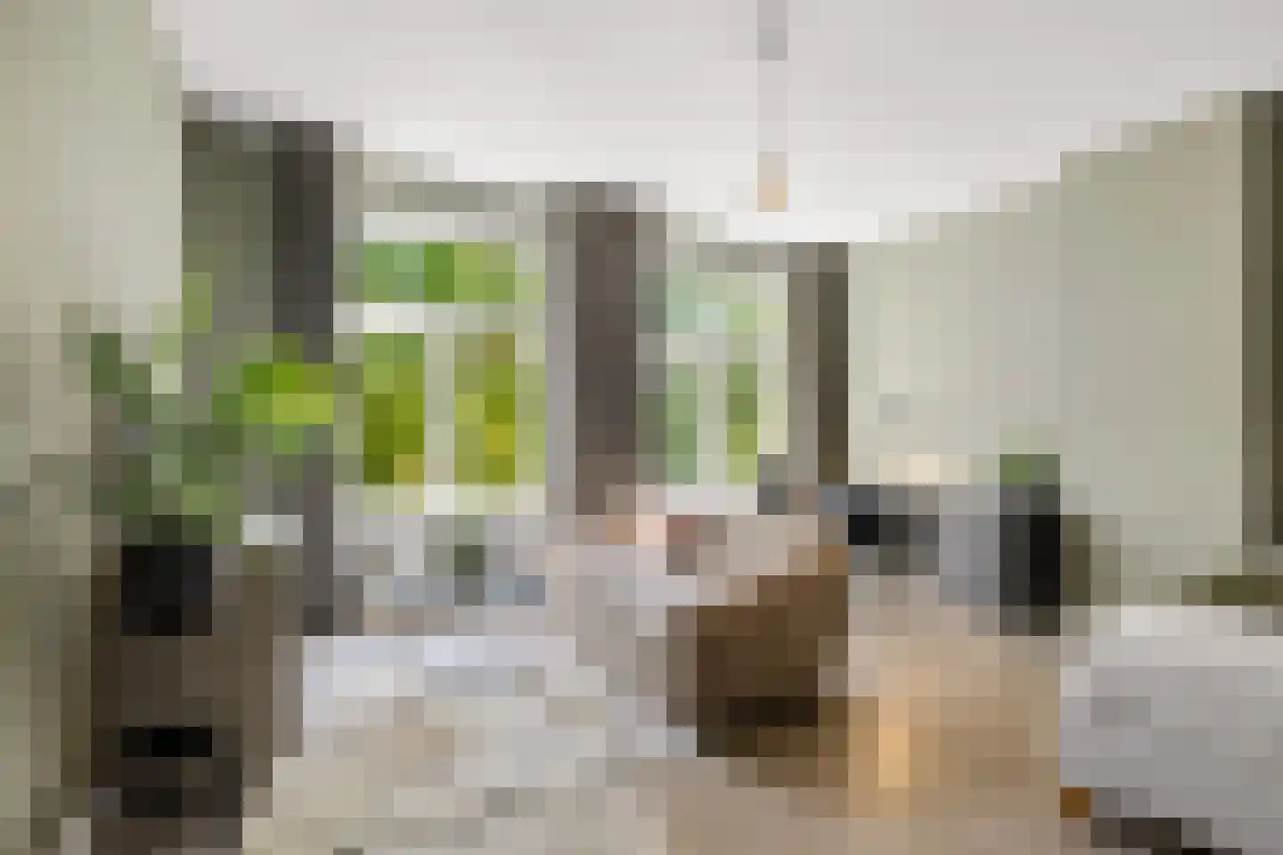 van der Does de Willeboissingel 54 's-Hertogenbosch thumbnail 31