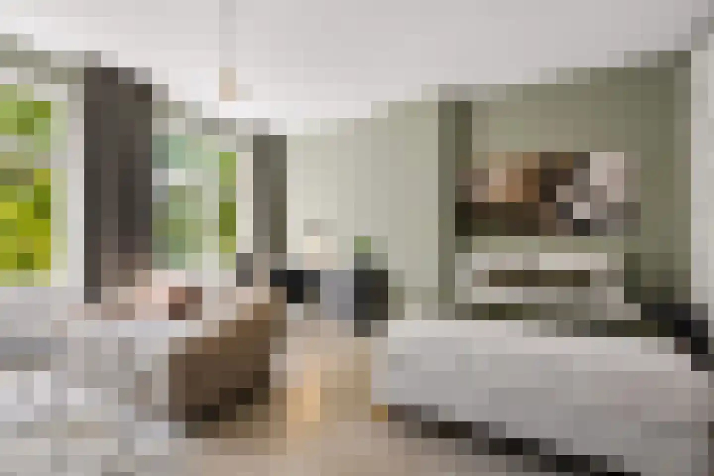 van der Does de Willeboissingel 54 's-Hertogenbosch thumbnail 32
