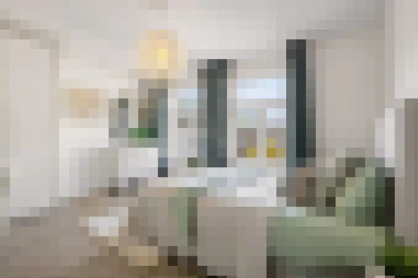 van der Does de Willeboissingel 54 's-Hertogenbosch thumbnail 33
