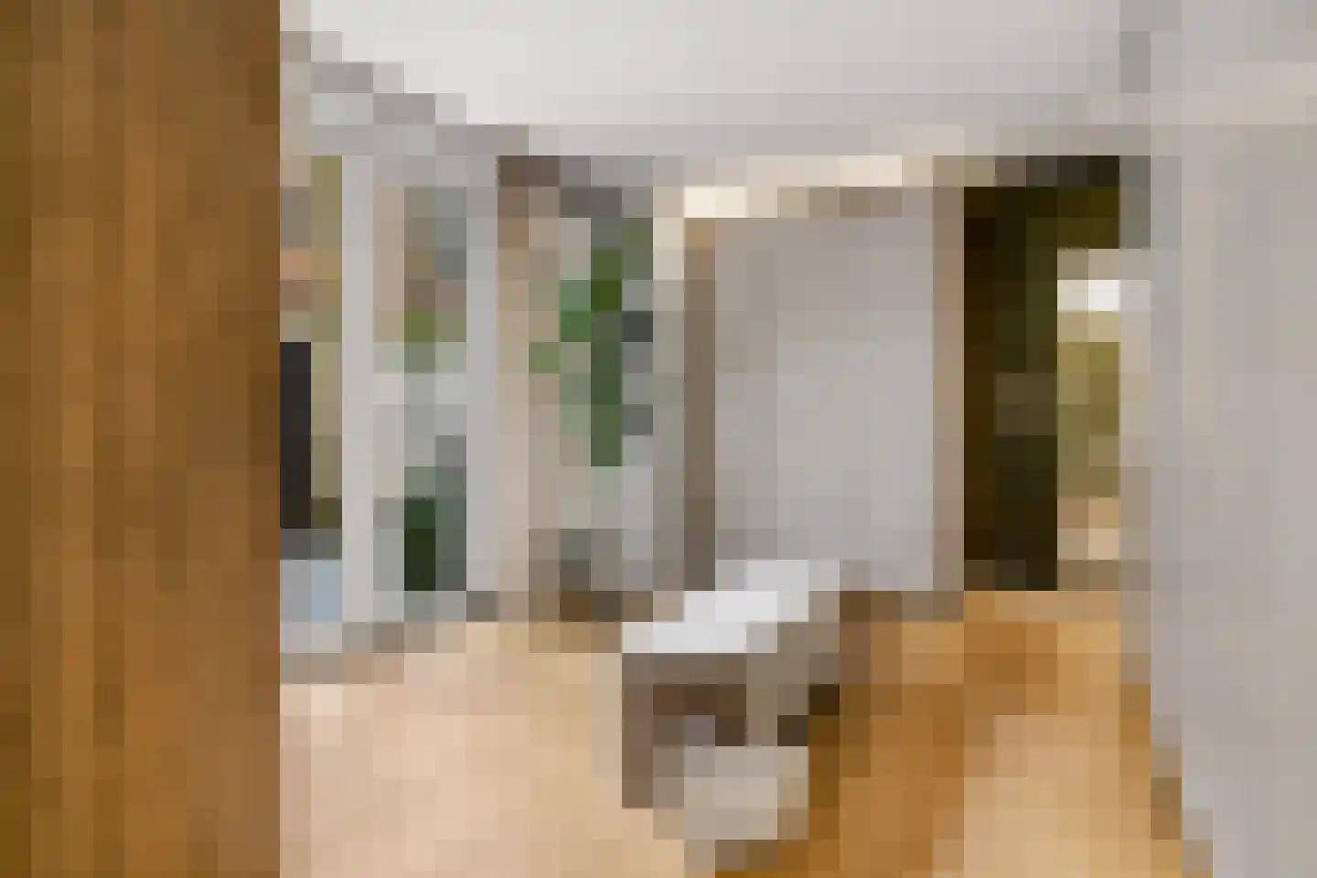 van der Does de Willeboissingel 54 's-Hertogenbosch thumbnail 39