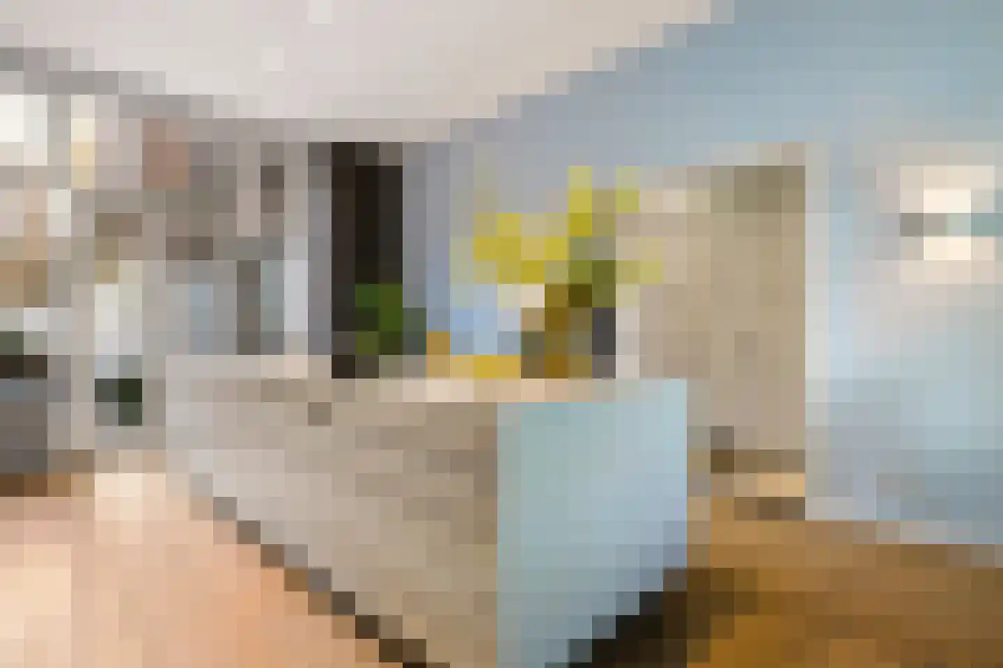 van der Does de Willeboissingel 54 's-Hertogenbosch thumbnail 4