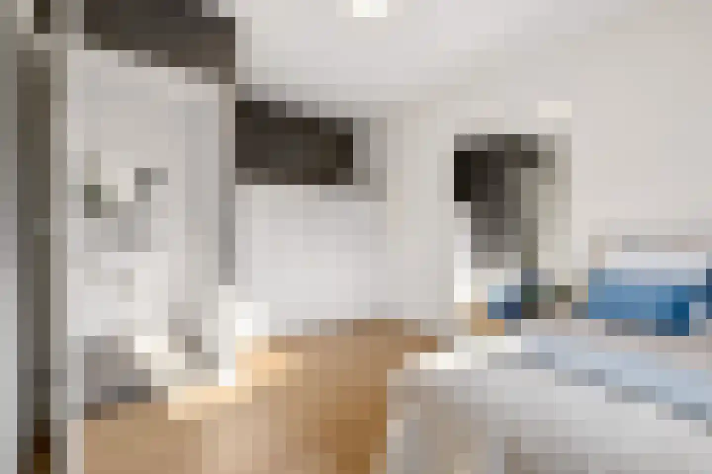 van der Does de Willeboissingel 54 's-Hertogenbosch thumbnail 47