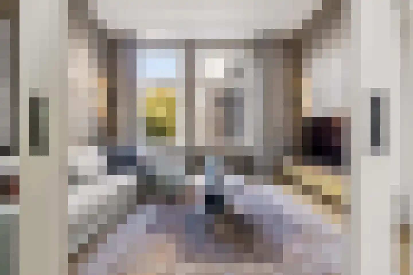 van der Does de Willeboissingel 54 's-Hertogenbosch thumbnail 6