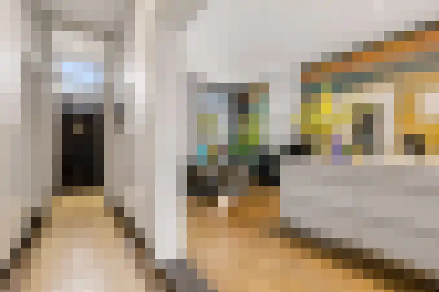 van der Does de Willeboissingel 54 's-Hertogenbosch thumbnail 8