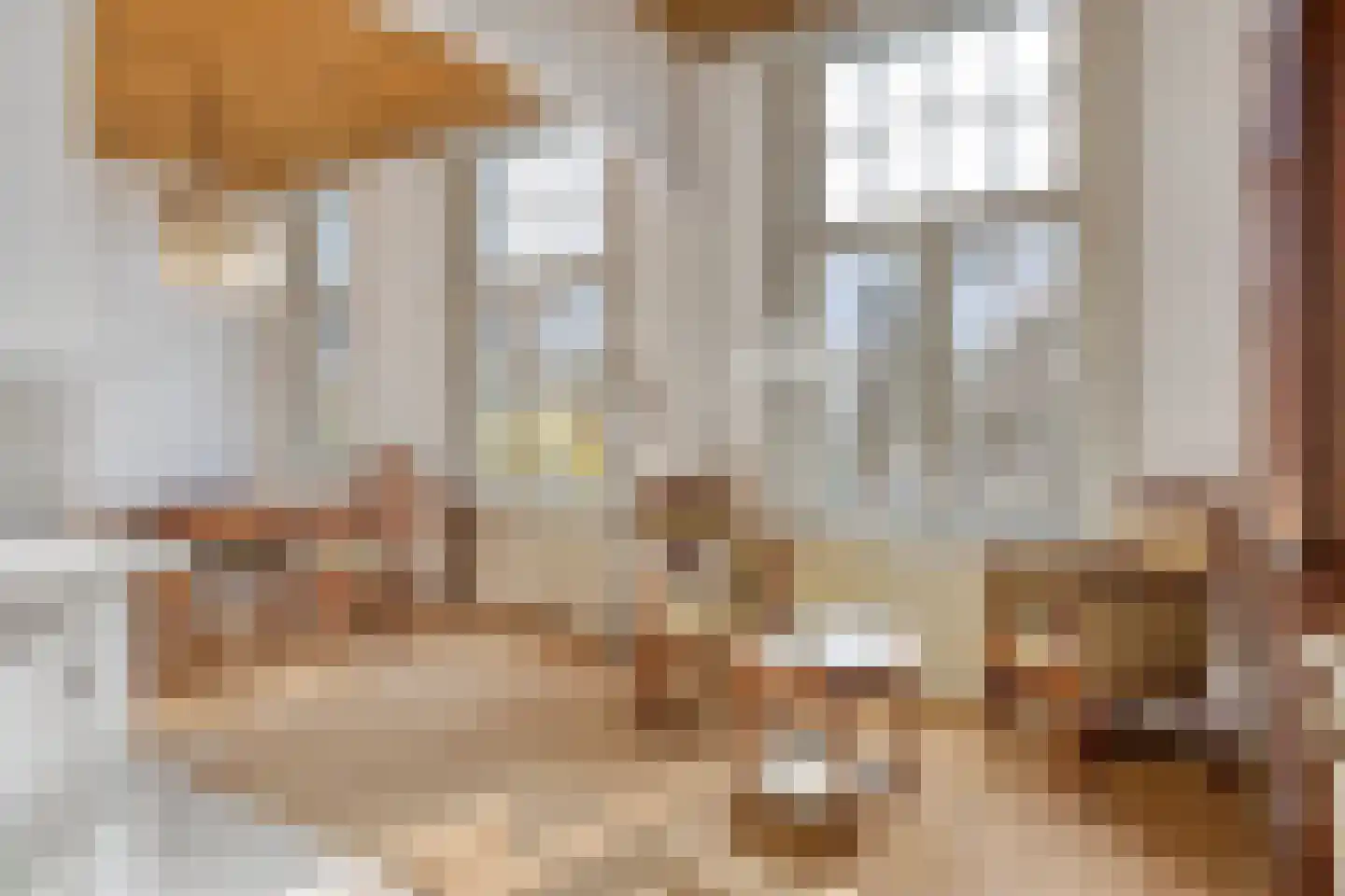 van der Does de Willeboissingel 62 's-Hertogenbosch thumbnail 16