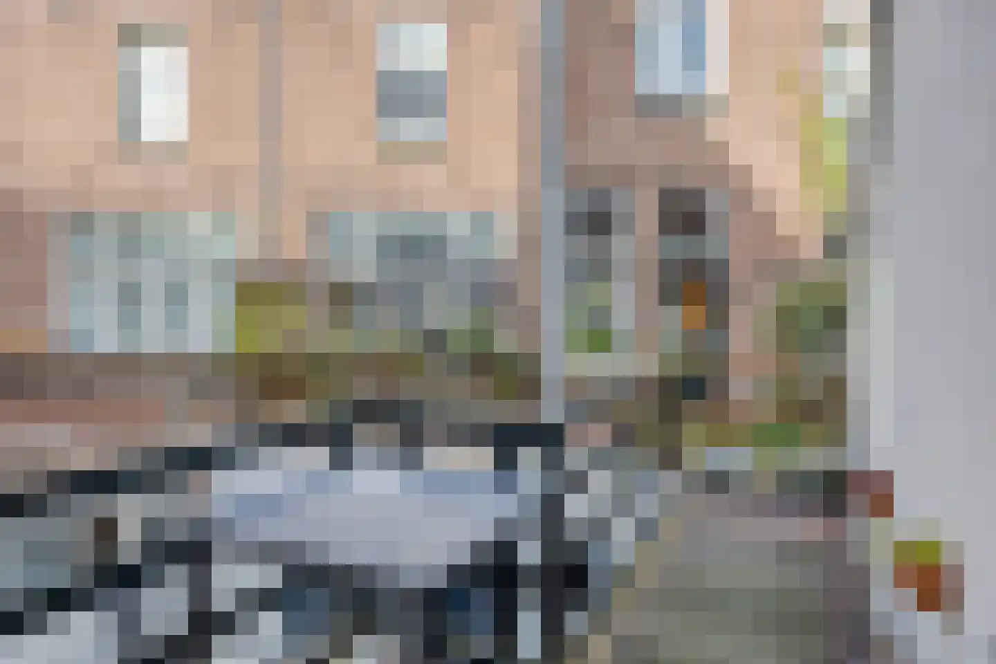 van der Does de Willeboissingel 62 's-Hertogenbosch thumbnail 19