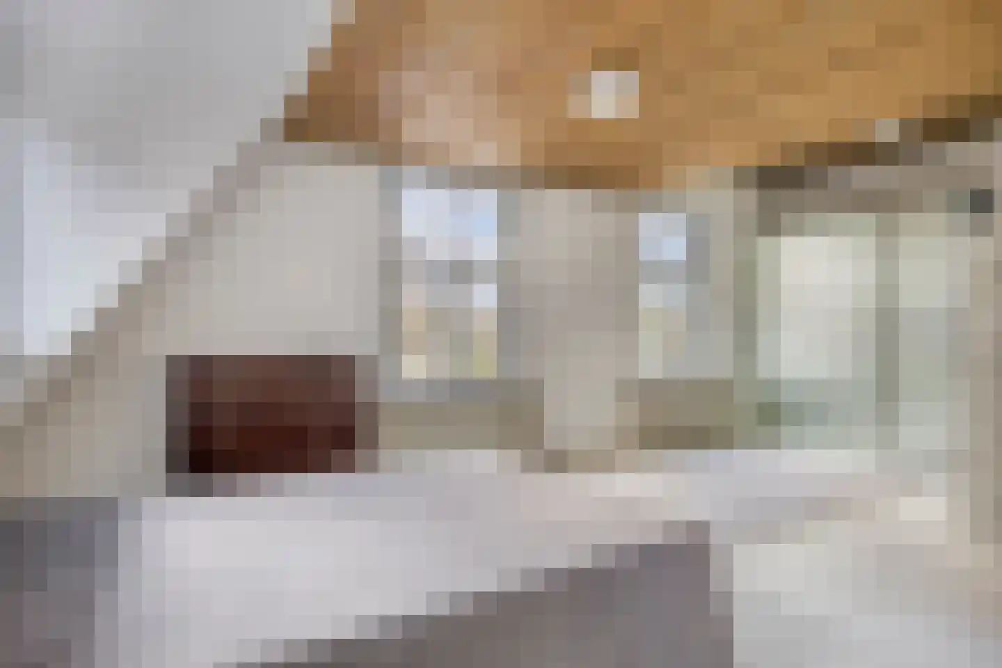 van der Does de Willeboissingel 62 's-Hertogenbosch thumbnail 22