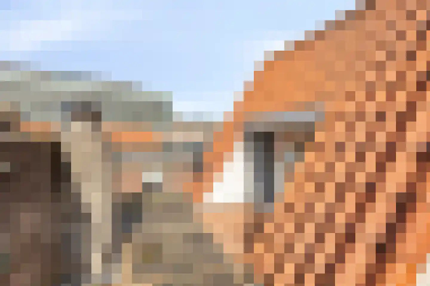 van der Does de Willeboissingel 62 's-Hertogenbosch thumbnail 30