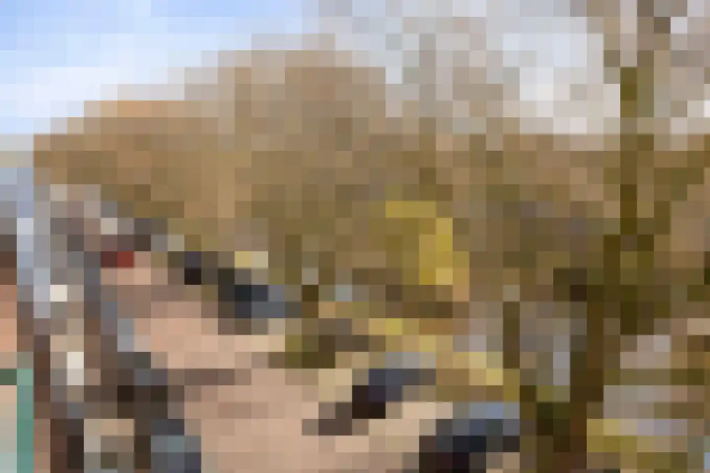 van der Does de Willeboissingel 62 's-Hertogenbosch thumbnail 32