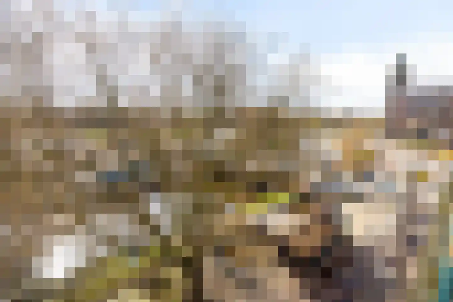 van der Does de Willeboissingel 62 's-Hertogenbosch thumbnail 33