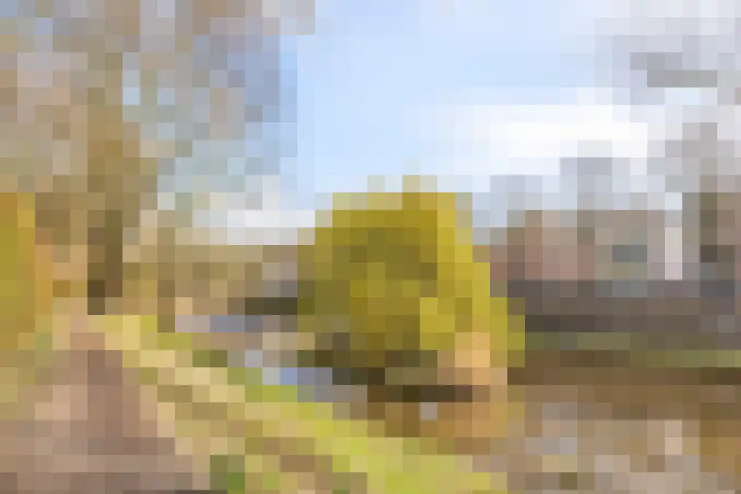 van der Does de Willeboissingel 62 's-Hertogenbosch thumbnail 36