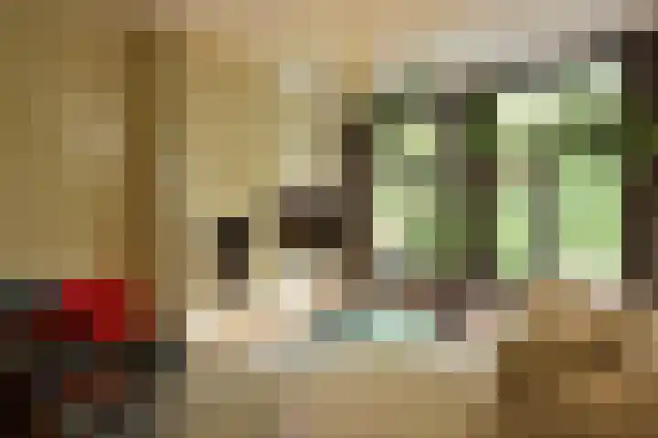 van der Does de Willeboissingel 8 A 's-Hertogenbosch thumbnail 10