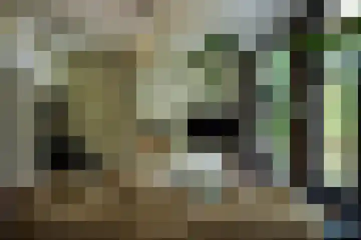 van der Does de Willeboissingel 8 A 's-Hertogenbosch thumbnail 12