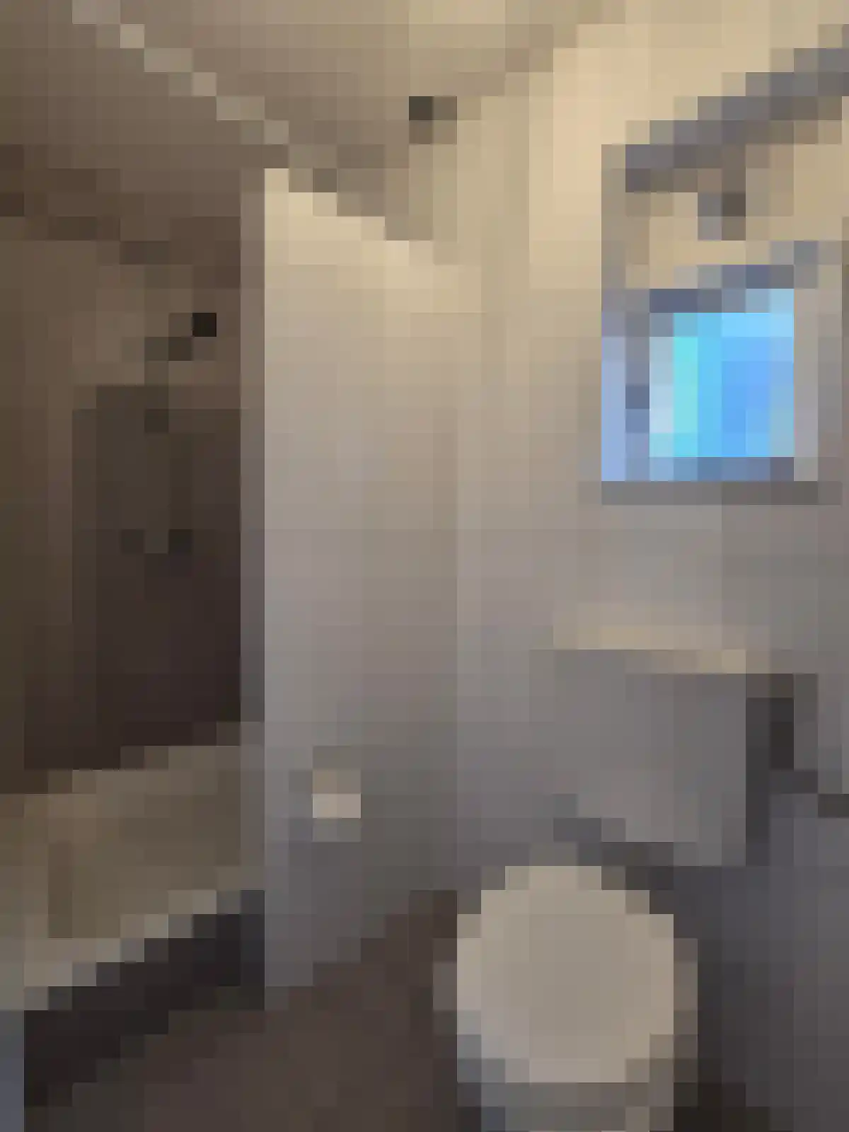 van der Does de Willeboissingel 's-Hertogenbosch thumbnail 5