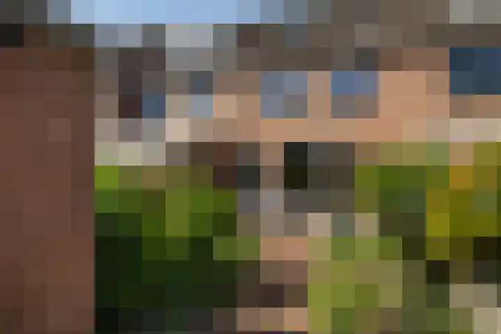Van der Does de Willeboisstraat 14 Wateringen thumbnail 12