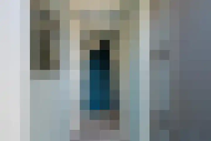 Van der Does de Willeboisstraat 14 Wateringen thumbnail 23