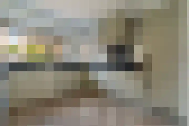 Van der Does de Willeboisstraat 14 Wateringen thumbnail 4